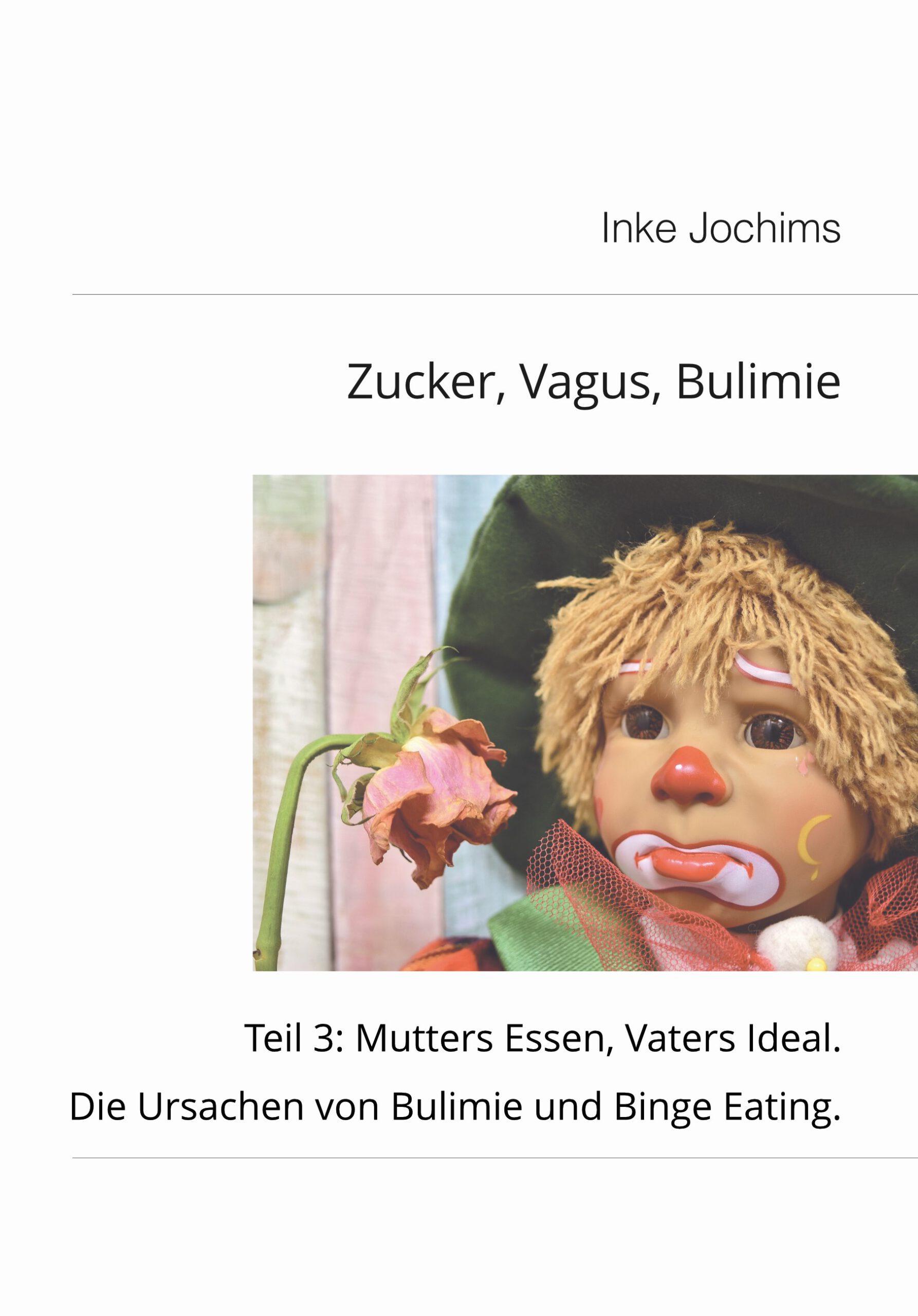 Zucker, Vagus, Bulimie, Zusammenfassung